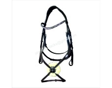 Leather Bridle